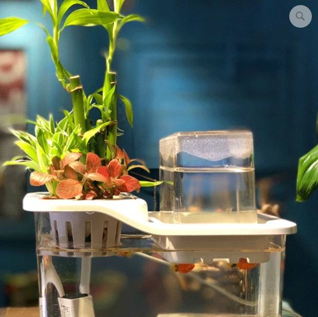 (image for) HORFI Simple Aquaponics Decoration - Click Image to Close