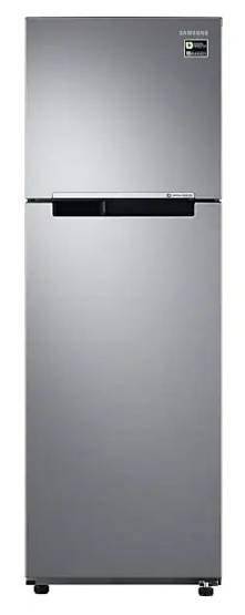 (image for) Samsung RT25M4013S8/SH 255L 2-Door Refrigerator (Elegant Inox)